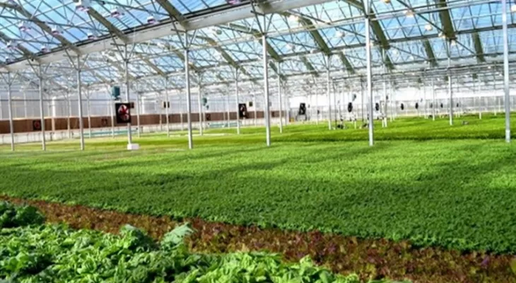 دهه فجر ۳۲پروژه کشاورزی در کرمانشاه افتتاح میشود