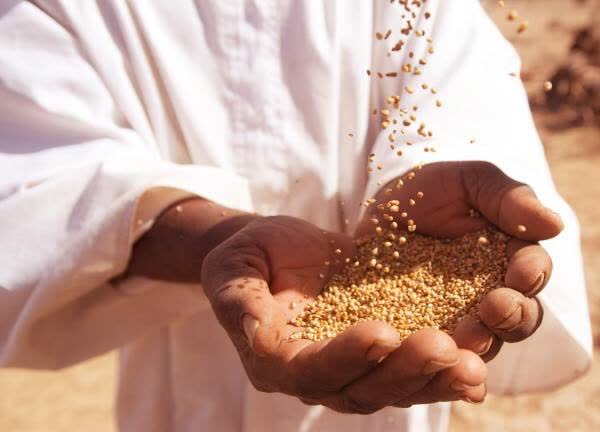 نیکوکاران کرمانشاهی تاکنون بیش از ۲۹ میلیارد ریال زکات پرداخت کردهاند