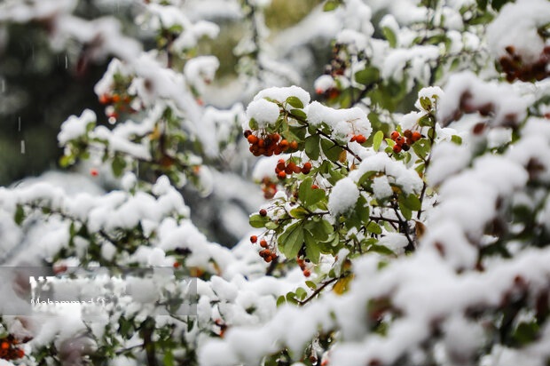 گزارش هواشناسی امروز؛ بارش برف و باران در ۲۲ استان