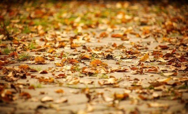 سرمای پاییزی در کرمانشاه رخ نشان داد