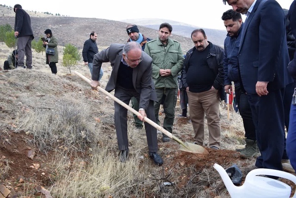 ۲۵۰۰ نهال در کرمانشاه بهنام پدران کاشته شد