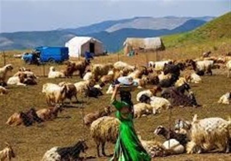 پرداخت ۱۸۰ میلیارد تومان تسهیلات به عشایر کرمانشاه