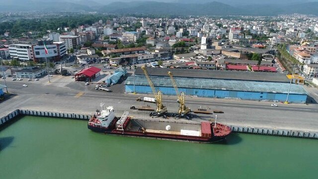 تأخیر کمسابقه در تأیید ارز نهادههای دامی؛ عامل اصلی التهاب در بازار