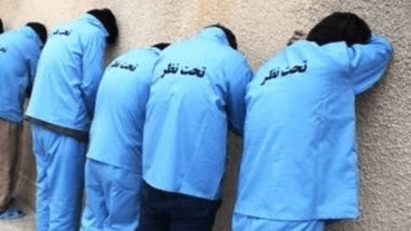 کشف ۳۰ رأس گوساله سرقتی در کرمانشاه