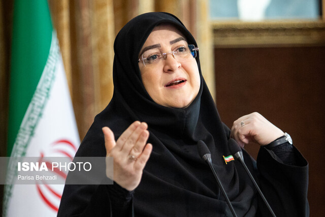 سخنگوی دولت: تلاش ما بر حل موضوعات با دیپلماسی است/سایر گزینهها را کنار نگذاشتهایم