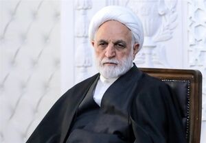 دستور رئیس قوه قضاییه برای بررسی نحوه واگذاری خطهای سفید و اینترنت پرو
